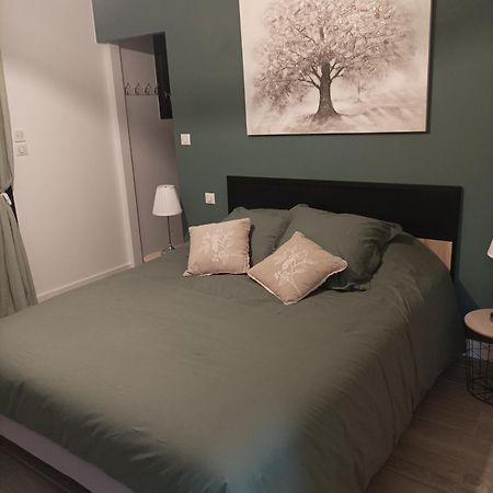 Villa De Cammas 몽토방 외부 사진